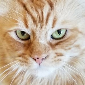 Meet your Posher, Mari